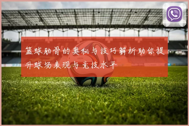 篮球肋骨的奥秘与技巧解析助你提升球场表现与竞技水平